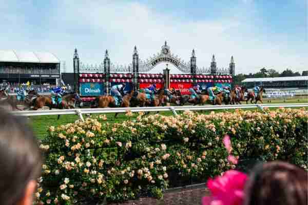 Spring Racing Carnival horse race action in Melbourne.